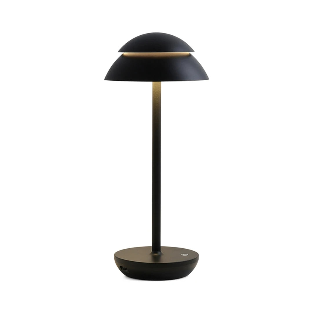 Double dome LED accent table lamp