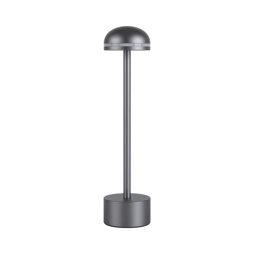 Rod LED accent table lamp
